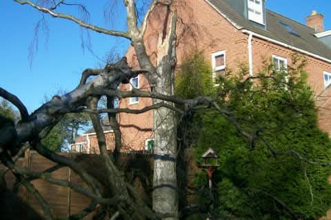 Fencing Installation